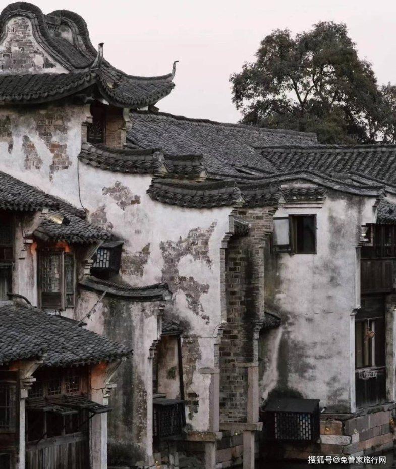 营救森林中的夫妇